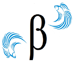 Beta Management